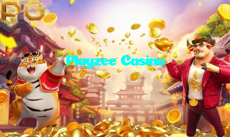 making first deposit on Playzee Casino website using local payment methods in Pakistan